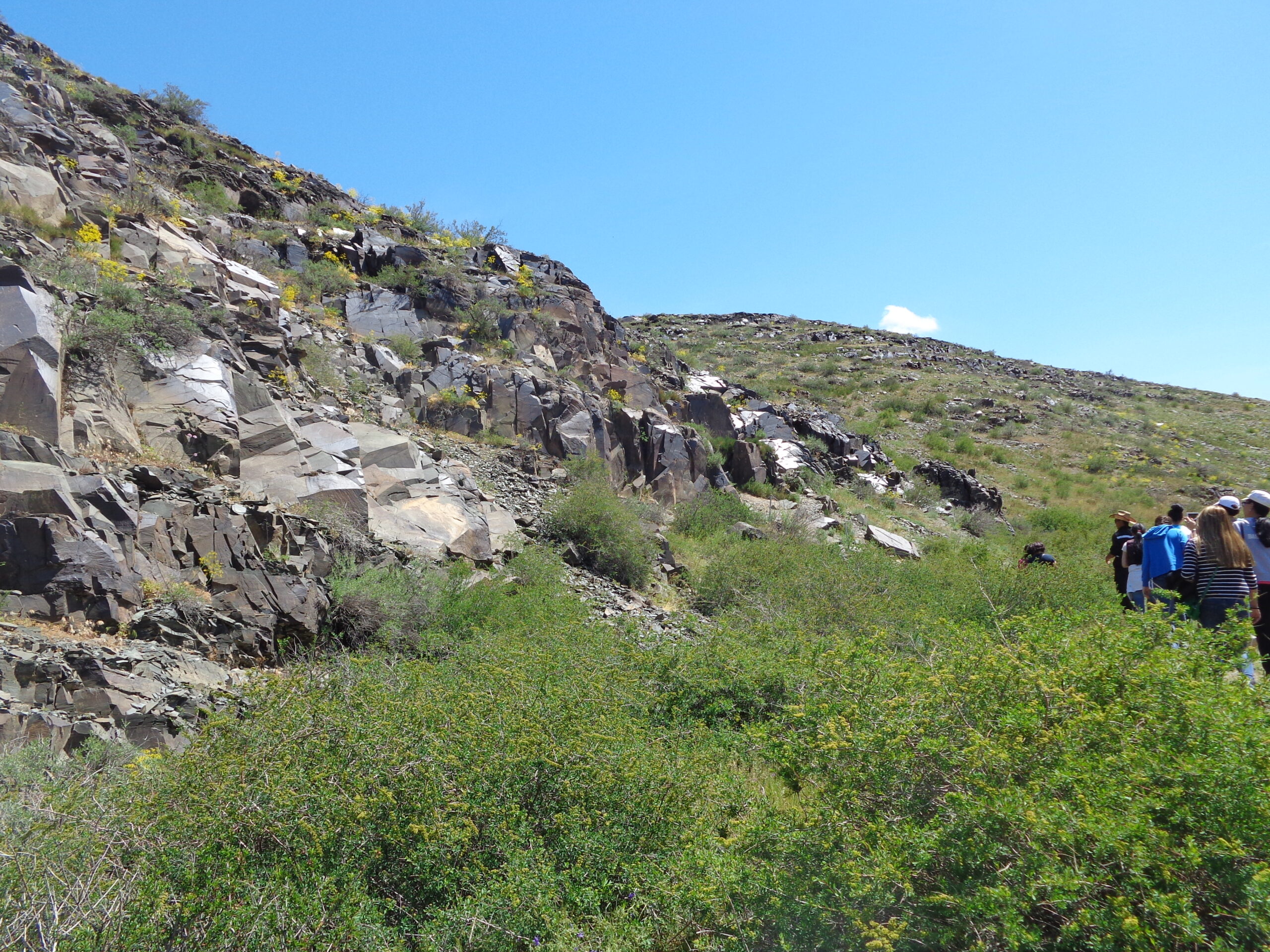 dsc00533-scaled-1