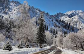 images-50